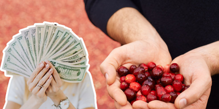 ¿Funciona realmente la Ley de la Atracción? ¡Hablemos un poco del secreto!