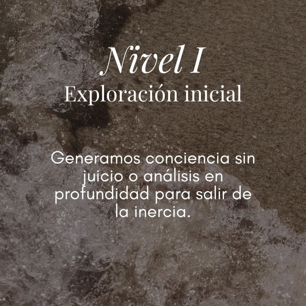 Nivel I