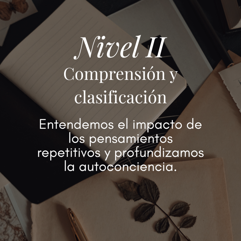 Nivel II