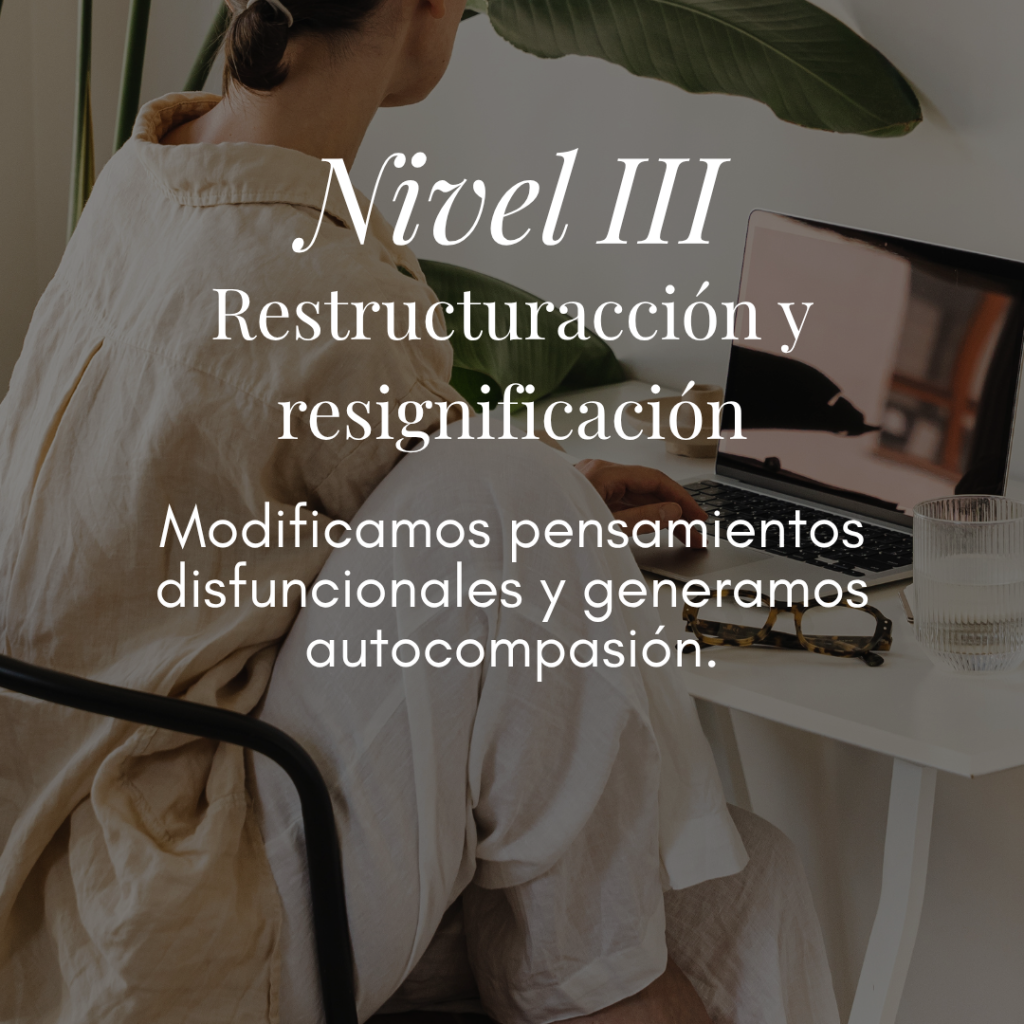 Nivel III